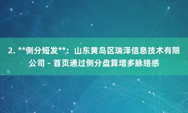 2. **侧分短发**：山东黄岛区瑞泽信息技术有限公司 - 首页通过侧分盘算增多脉络感